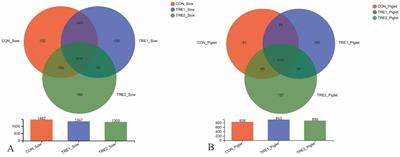 Effects from supplementary feeding of bamboo powder in perinatal period on farrowing process, serum biochemical indexes, and fecal microbes of sows and offspring piglets